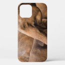 Search for indian elephant iphone cases Travel