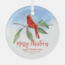 Search for blue bird christmas tree decorations Nature
