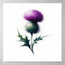 Search for scottish thistle posters Highlands