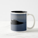 Search for f 22 raptor mugs Aircraft