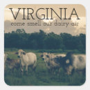 Search for funny milk stickers Cow