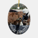 Search for eye christmas tree decorations Funny