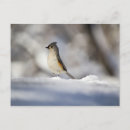 Search for tuft postcards Winter