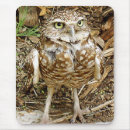Search for owl feather mouse mats Animal