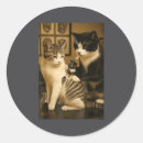 Search for tattoo ink stickers Funny