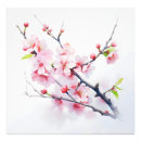 Search for blooming sakura tree Branch