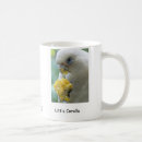Search for billed mugs Wildlife