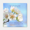 Search for appears magnets Christian