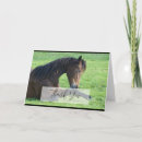 Search for pretty horse cards Equine
