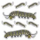 Search for caterpillar stickers Yellow