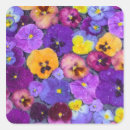 Search for pansy flower stickers Colourful