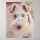 Search for airedale terrier gifts Cute