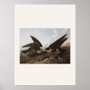Search for audubon birds posters Vintage