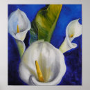Search for calla lilly posters Lilies