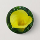 Search for lilly flower badges Flowers