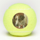 Search for dog tennis balls Cat