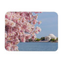 Search for washington dc magnets No people
