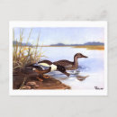 Search for signed postcards Vintage