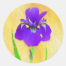 Search for purple iris stickers Garden