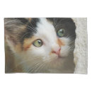 Search for eyes pillowcases Cute