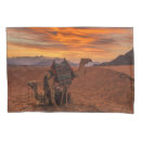 Search for camel pillowcases Landscape