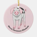 Search for baby pig christmas tree decorations Farm animals