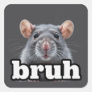 Search for rodent stickers Animal lover