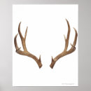 Search for trophy art Hunting