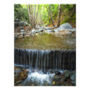 Search for balance of nature posters Serenity