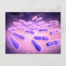 Search for pathology postcards Magnification