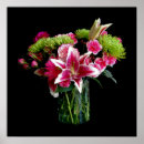 Search for stargazer lily posters Bouquet