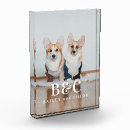 Search for dog photo display Modern
