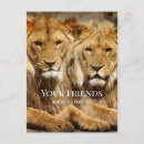 Search for big get well cards Friendship