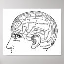 Search for brain chart posters Vintage