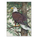Search for america eagle postcards Wild life