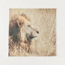 Search for beautiful lion art Wild