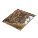 Search for horned tiles Brown