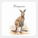 Search for kangaroo stickers Aussie