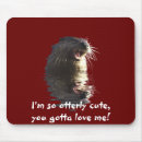Search for sea otters electronics Funny