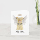 Search for yorkie cards Yorkshire terrier