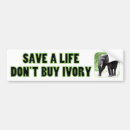 Search for elephant bumper stickers Animal