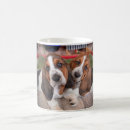 Search for bassets mugs Puppies