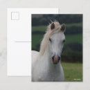 Search for headshot postcards Breed