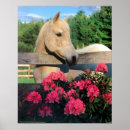 Search for mare posters Equine