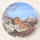 Search for hare barware Wild animal