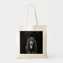 Search for german shepard bags Black