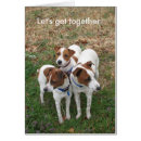 Search for let friend photography Dogs