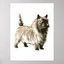 Search for cairns posters Dog
