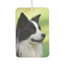 Search for border collie car accessories Animal