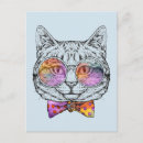 Search for kat postcards Kitten